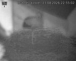 Capi_Dubne_20260813_225502.jpg