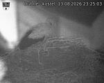 Capi_Dubne_20260813_232503.jpg