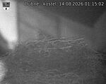 Capi_Dubne_20260814_011502.jpg