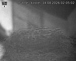 Capi_Dubne_20260814_020502.jpg