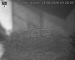 Capi_Dubne_20260814_032003.jpg