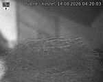 Capi_Dubne_20260814_042003.jpg