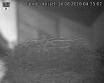 Capi_Dubne_20260814_043502.jpg