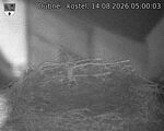 Capi_Dubne_20260814_050003.jpg