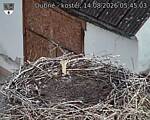 Capi_Dubne_20260814_054503.jpg