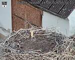 Capi_Dubne_20260814_055003.jpg