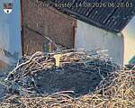 Capi_Dubne_20260814_062003.jpg