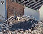 Capi_Dubne_20260814_064003.jpg