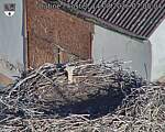 Capi_Dubne_20260814_070504.jpg