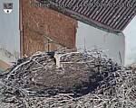 Capi_Dubne_20260814_073002.jpg