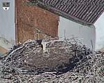 Capi_Dubne_20260814_073503.jpg