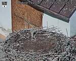 Capi_Dubne_20260814_102503.jpg