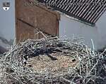 Capi_Dubne_20260814_163503.jpg