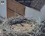Capi_Dubne_20260814_165503.jpg