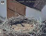 Capi_Dubne_20260814_170003.jpg