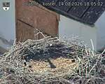 Capi_Dubne_20260814_180502.jpg