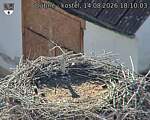 Capi_Dubne_20260814_181003.jpg