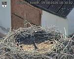Capi_Dubne_20260814_183002.jpg