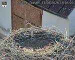 Capi_Dubne_20260814_190503.jpg