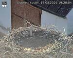 Capi_Dubne_20260814_192004.jpg