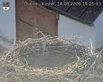 Capi_Dubne_20260814_192503.jpg