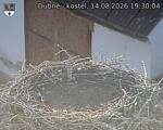 Capi_Dubne_20260814_193004.jpg