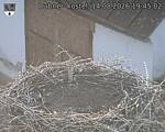 Capi_Dubne_20260814_194502.jpg