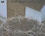 Capi_Dubne_20260814_195503.jpg
