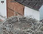 Capi_Dubne_20260814_202503.jpg