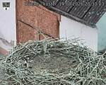 Capi_Dubne_20260814_203003.jpg