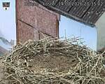 Capi_Dubne_20260814_203502.jpg