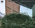 Capi_Dubne_20260814_204503.jpg