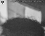 Capi_Dubne_20260814_214502.jpg
