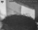 Capi_Dubne_20260814_215002.jpg