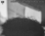 Capi_Dubne_20260814_221502.jpg