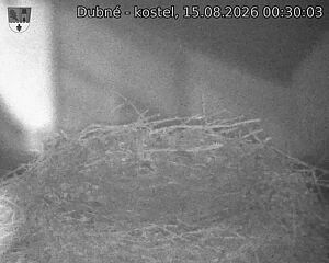 Capi_Dubne_20260815_003003.jpg (1350&nbsp;x&nbsp;1080)