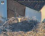 Capi_Dubne_20260815_062004.jpg