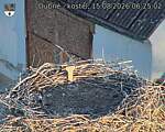 Capi_Dubne_20260815_062502.jpg