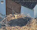 Capi_Dubne_20260815_063004.jpg