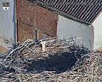 Capi_Dubne_20260815_065004.jpg
