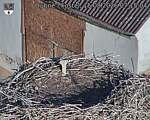 Capi_Dubne_20260815_071504.jpg
