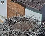 Capi_Dubne_20260815_122002.jpg