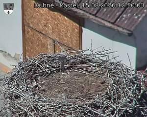 Capi_Dubne_20260815_125003.jpg (1350&nbsp;x&nbsp;1080)
