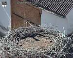 Capi_Dubne_20260815_162004.jpg