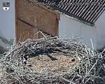 Capi_Dubne_20260815_164002.jpg