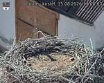 Capi_Dubne_20260815_170003.jpg