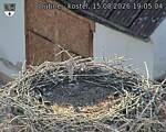 Capi_Dubne_20260815_190504.jpg