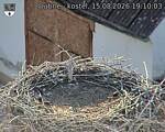 Capi_Dubne_20260815_191003.jpg