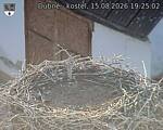 Capi_Dubne_20260815_192502.jpg