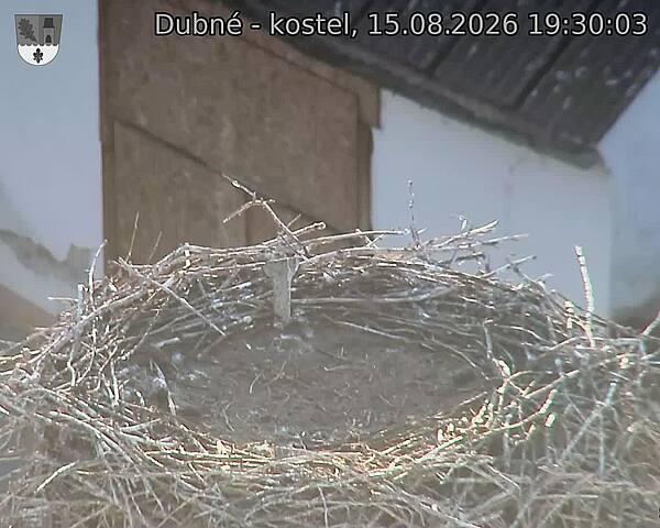 Capi_Dubne_20260815_193003.jpg (1350&nbsp;x&nbsp;1080)